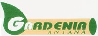 GARDENIA ANTANA