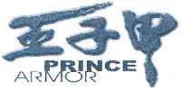 PRINCE ARMOR