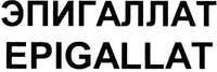 EPIGALLAT