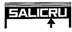 SALICRU