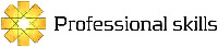 Professional skills