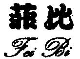 Fei Bi