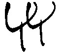 YY