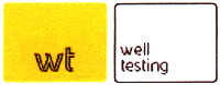wt well testing