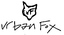 Urban Fox