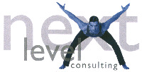 next level consulting