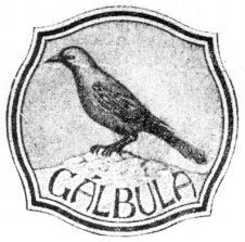 GÁLBULA