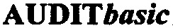 AUDITbasic