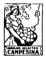 NARANJAS SELECTAS CAMPESINA