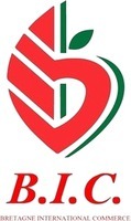 B.I.C.