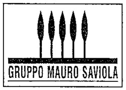 GRUPPO MAURO SAVIOLA