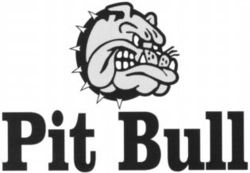 Pit Bull