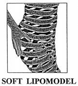SOFT LIPOMODEL