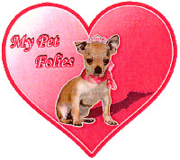 My Pet Folies