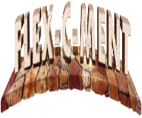 FLEX.C.MENT
