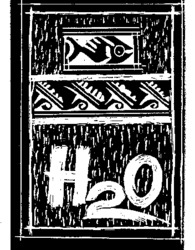 H2O