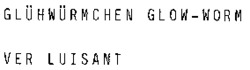 GLÜHWÜRMCHEN GLOW-WORM VER LUISANT