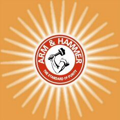 ARM & HAMMER THE STANDARD OF PURITY