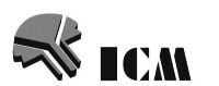 ICM