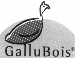 GALLUBOIS