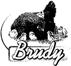 Brudy