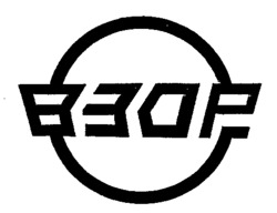 VZOR.