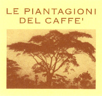 LE PIANTAGIONI DEL CAFFE'