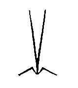 V