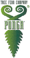 TREE FERN COMPANY PONGA