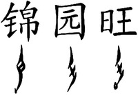 jin yuan wang