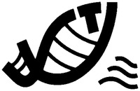 UST