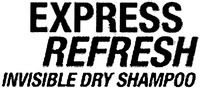 EXPRESS REFRESH INVISIBLE DRY SHAMPOO
