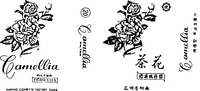 Camellia