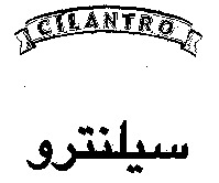 CILANTRO