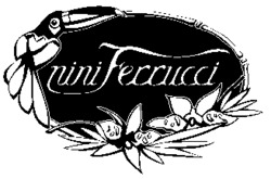 nini Ferrucci