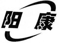  YANG KANG 