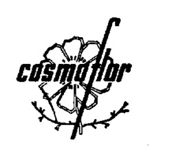 cosmoflor
