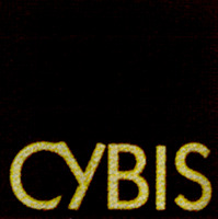 CYBIS