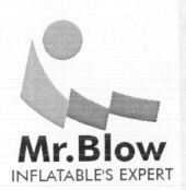 Mr. Blow INFLATABLE'S EXPERT