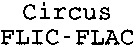 Circus FLIC-FLAC