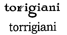 torigiani