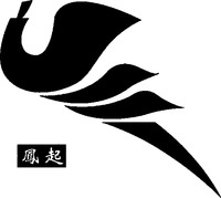 FENG QI.