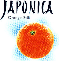 JAPONICA Orange Still