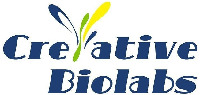 Creative Biolabs