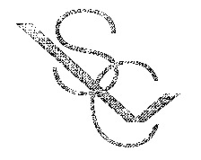 VSC