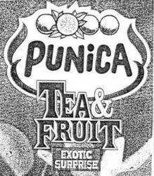 PUNiCA TEA & FRUIT EXOTIC SURPRISE