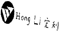Hong Li