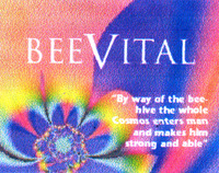 BEEVITAL