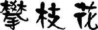 panzhihua.