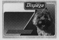 Dispeza RODI